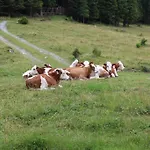 Appartementhaus Evelyn