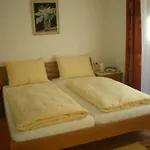 Appartementhaus Evelyn Апартаменты Шладминг
