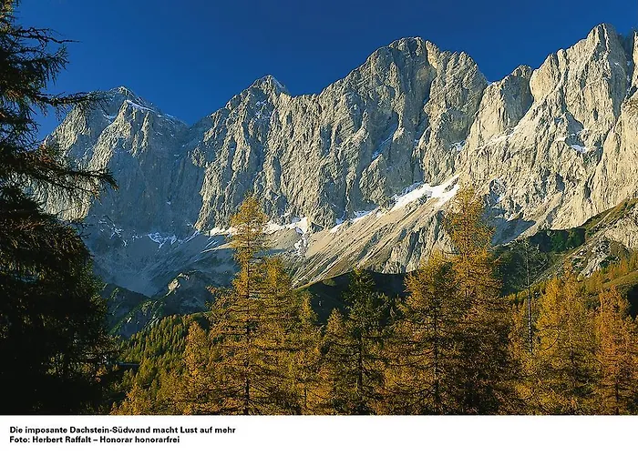 Apartament Appartementhaus Evelyn Schladming